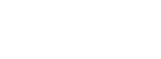 Iris Inspection machines
